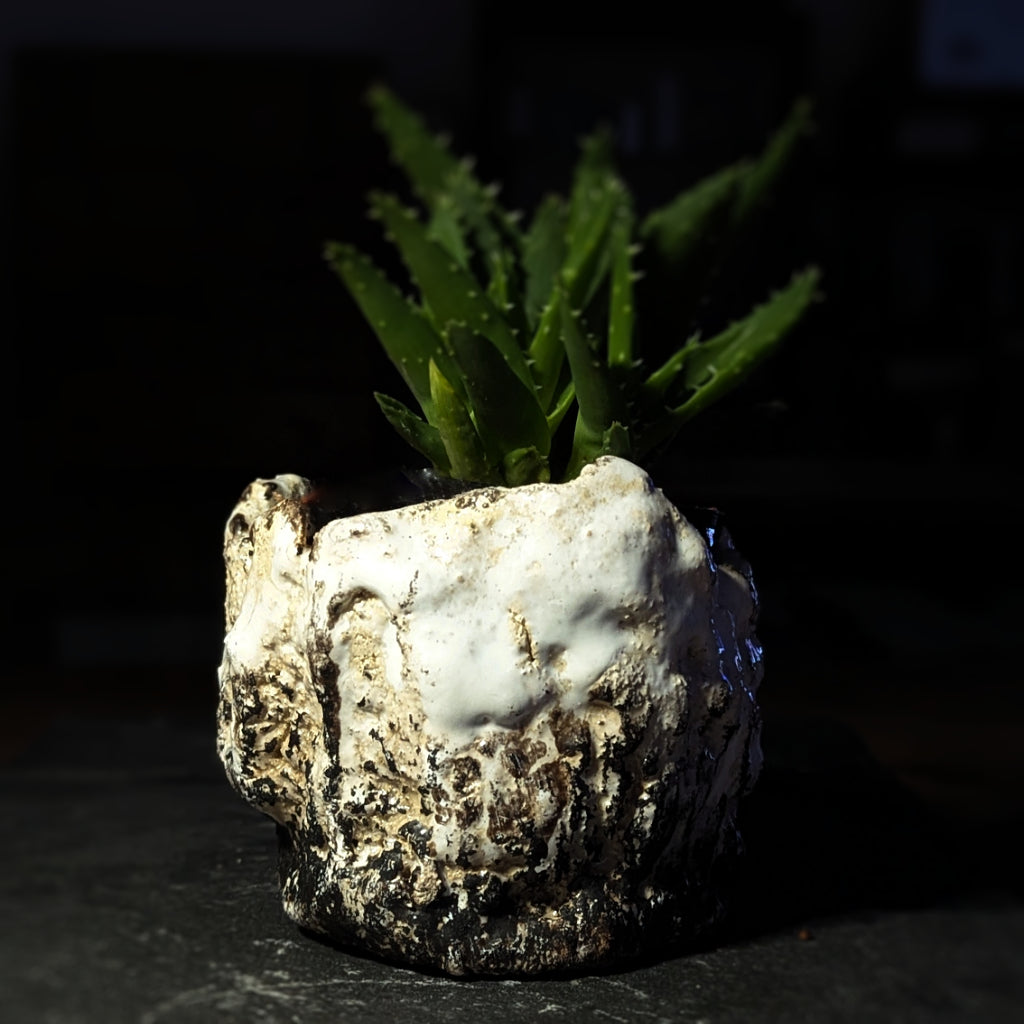 Sculpture / Objet de collection.
Cache pot "Gabbro" en grés.
Poids environ 550 grammes.
Dim. environ 9 cm x 10 cm.
Le porte encens est créé de manière artisanale par Fabien Martinet, Artisan Designer sur Ajaccio.
Contrairement à la céramique produite en série, du moulage à la cuisson, tout est étroitement contrôlé.
La pièce ainsi créée est unique : elle ne pourra jamais être reproduite.