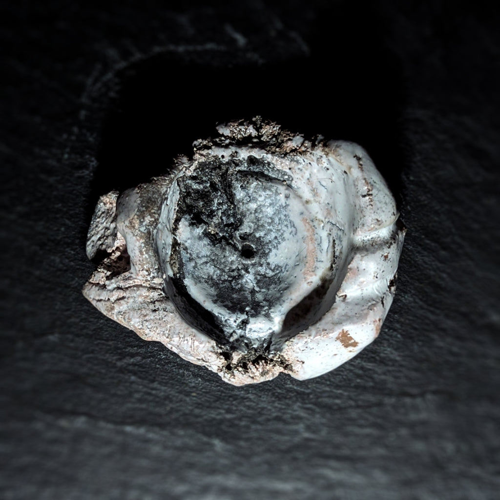 Sculpture / Objet de collection.
Porte encens Magma en grés.
Poids environ 300 grammes.
Dim. environ 10 cm x 5 cm.
Le porte encens est créé de manière artisanale par Fabien Martinet, Artisan Designer sur Ajaccio.
Contrairement à la céramique produite en série, du moulage à la cuisson, tout est étroitement contrôlé.
La pièce ainsi créée est unique : elle ne pourra jamais être reproduite.