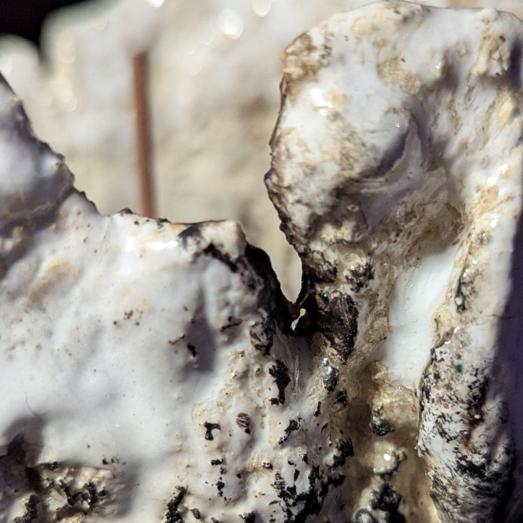 Sculpture / Objet de collection.
Porte encens "Gabbro" en grés.
Poids environ 550 grammes.
Dim. environ 9 cm x 10 cm.
Le porte encens est créé de manière artisanale par Fabien Martinet, Artisan Designer sur Ajaccio.
Contrairement à la céramique produite en série, du moulage à la cuisson, tout est étroitement contrôlé.
La pièce ainsi créée est unique : elle ne pourra jamais être reproduite.